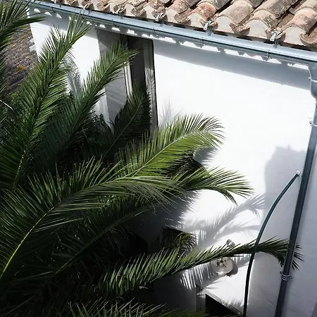 La Maison D'oo Rue Magene Лаграс